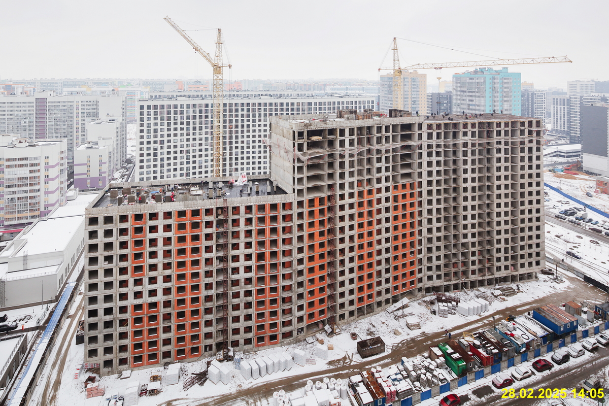 28 февраля 2025 28 февраля 2025