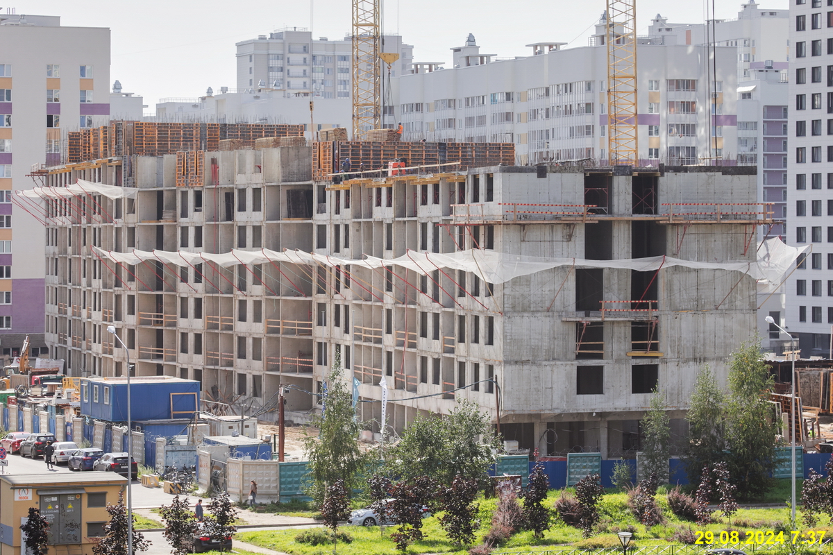 29 августа 2024 29 августа 2024
