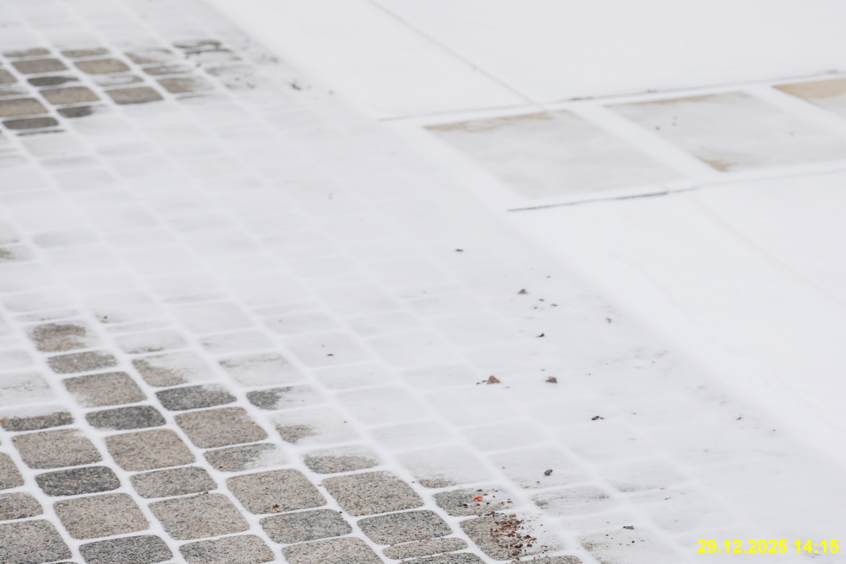 31 декабря 2025