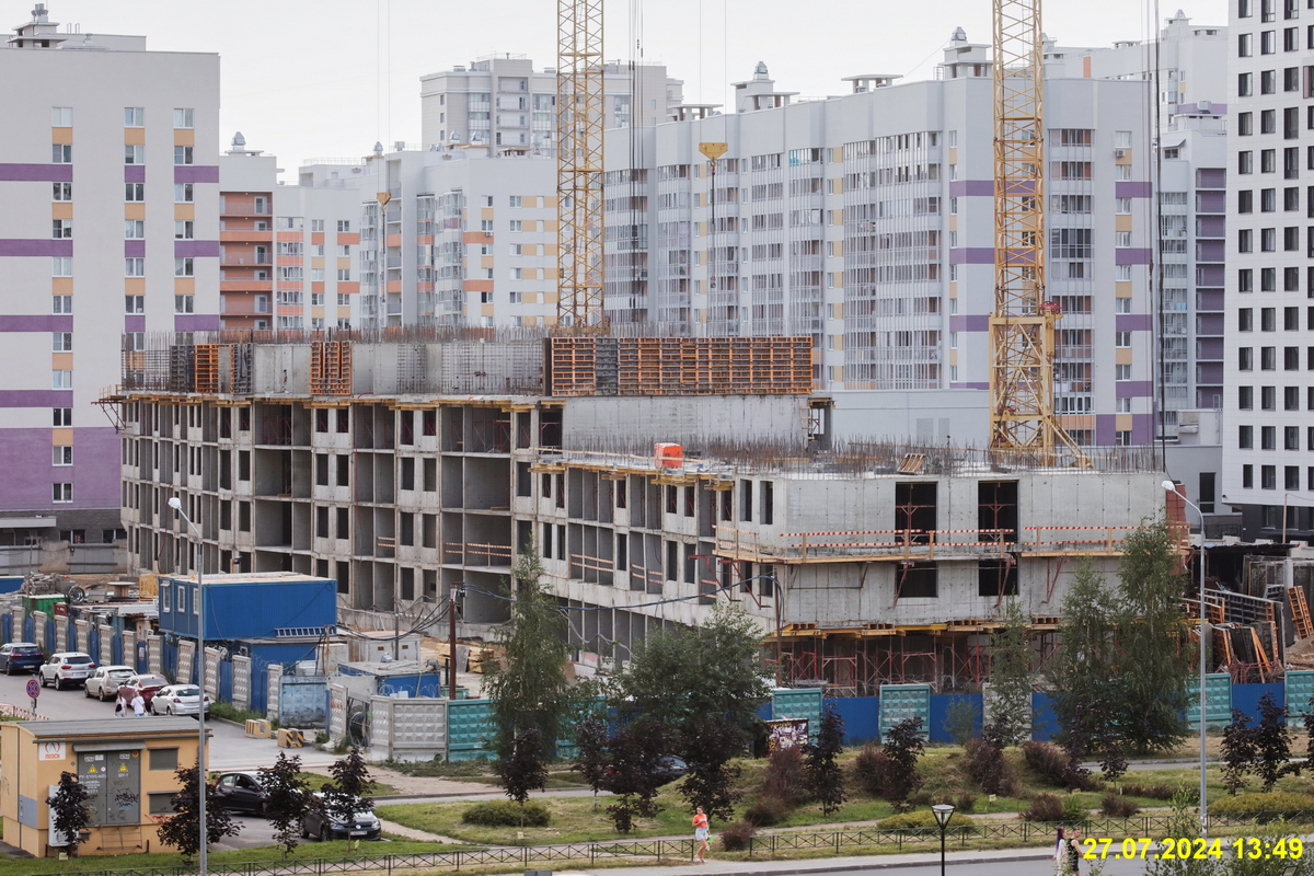 27 июля 2024 27 июля 2024