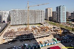 28 июня 2024 28 июня 2024