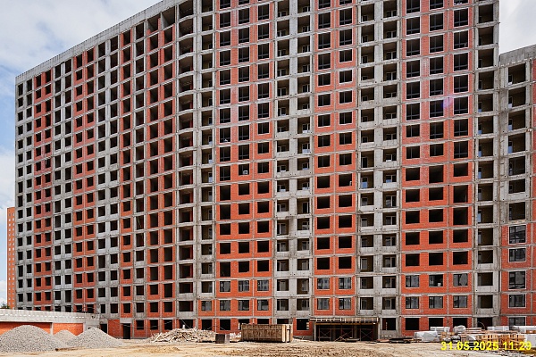 31 мая 2025