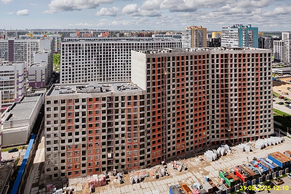 31 мая 2025