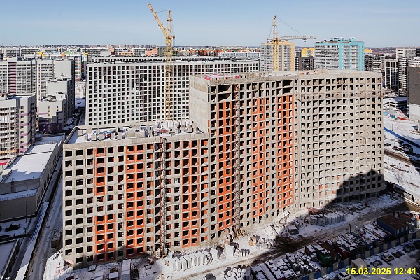 15 марта 2025