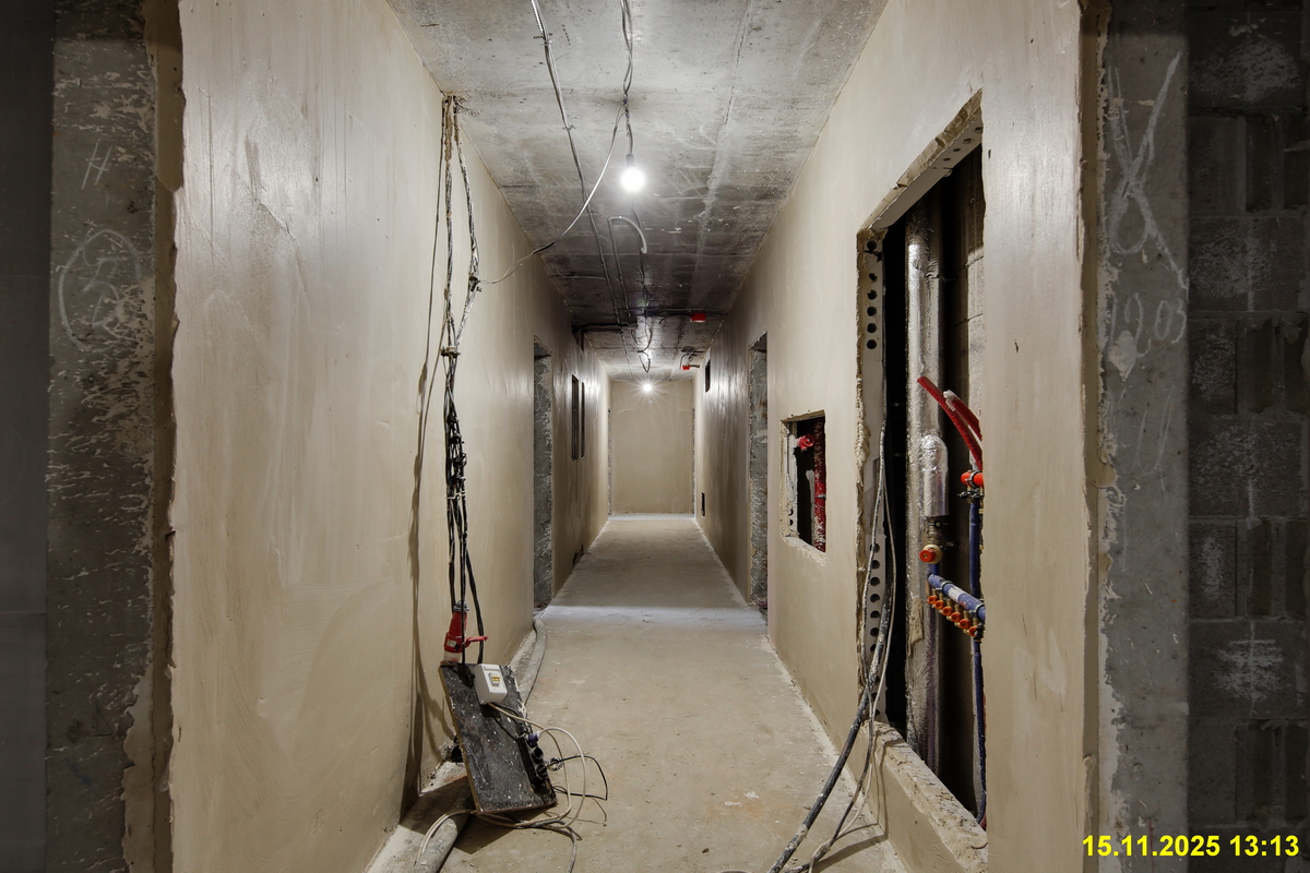 15 ноября 2025