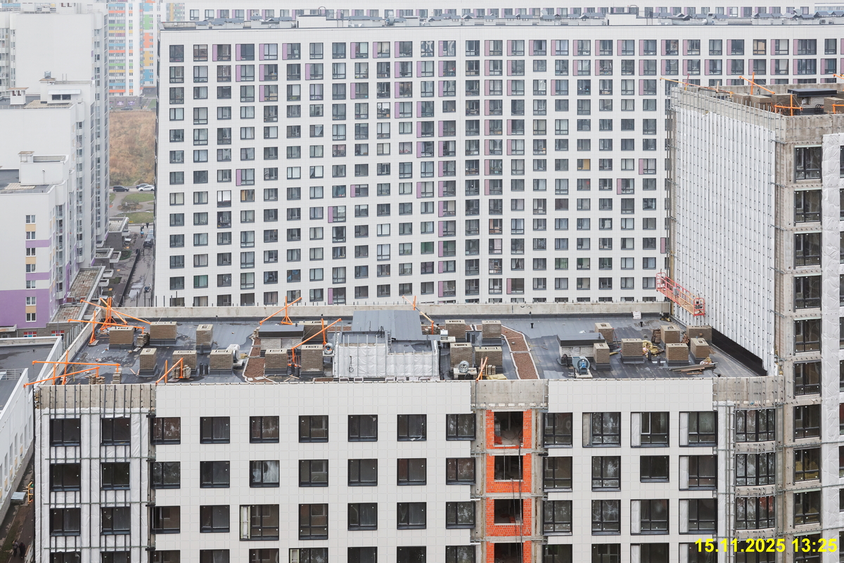 15 ноября 2025