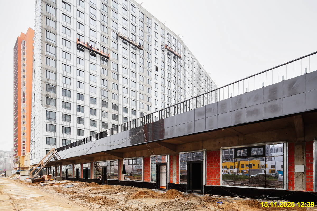 15 ноября 2025