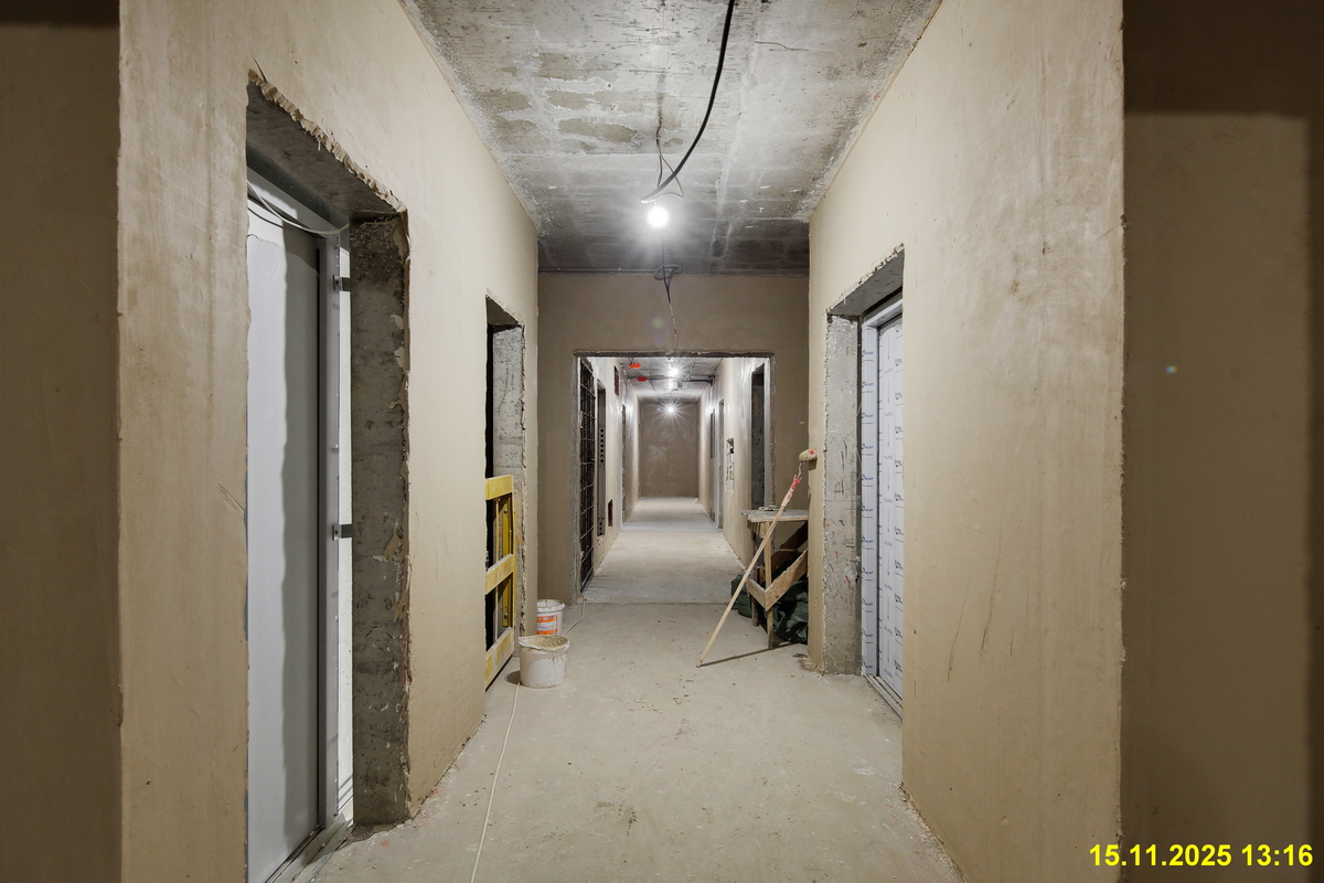 15 ноября 2025